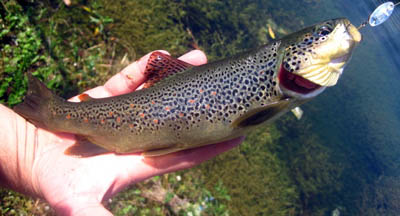Fishing Tour Neretva